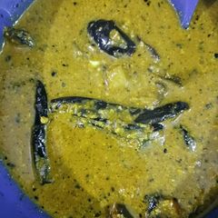 A picture of Dahi- Masala baingan.