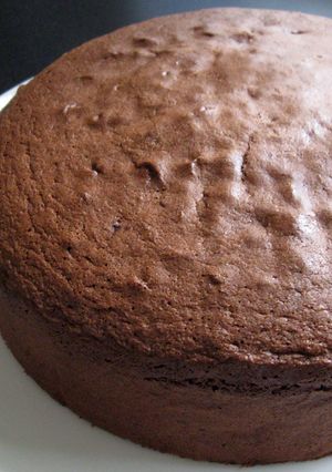 A picture of Cocoa Sponge Cake.