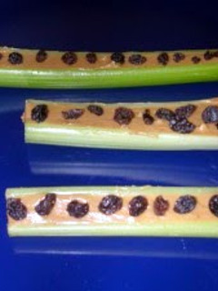 A picture of Ants on logs.