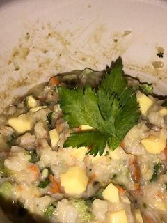 Foto resep Mpasi 10+ anti gtm nasi tim gurih