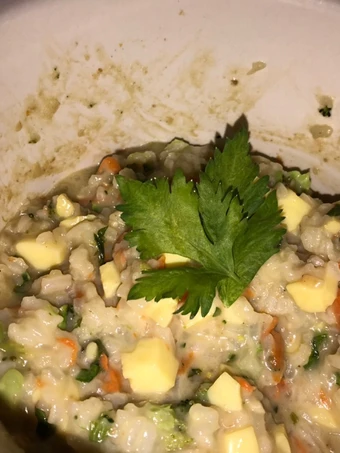 Langkah Gampang Membuat Resep Mpasi 10+ anti gtm nasi tim gurih yang Uenak Anti Ribet, Lezat