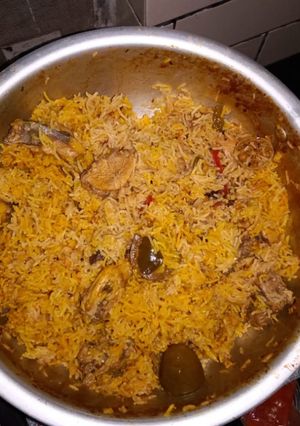 A picture of Degi biryani.