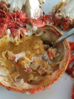 Una foto de Centolla cocida de las Rías gallegas