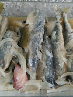 Una foto de Caballas en escabeche