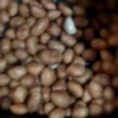 A picture of Kacang Tanah sangrai.