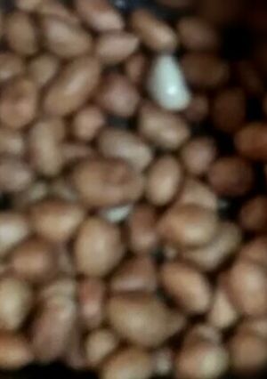 Foto resep Kacang Tanah sangrai