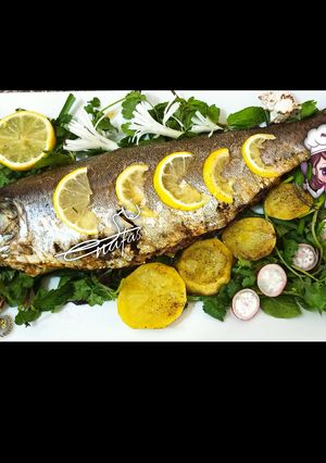 عکسی از دستور ماهی شکم پر
