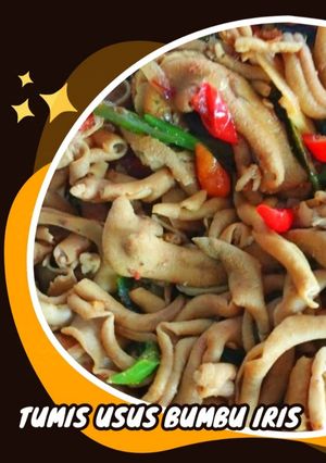 Foto resep Tumis Usus Bumbu Iris