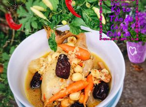 Hình của món Chim câu hầm hạt sen-kỷ tử- táo đỏ- cà rốt- đậu gà.