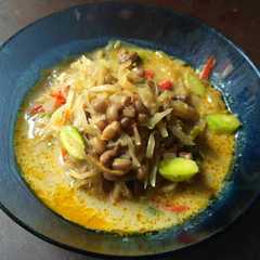 รูปของ Lodeh pepaya kacang tolo