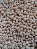 Onde ceplis/ ciput