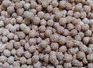 Foto resep Onde ceplis/ ciput