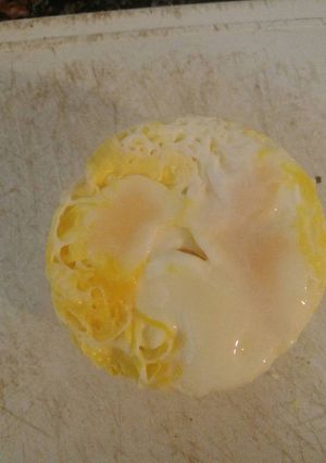 Una foto de Básicos de cocina: huevo duro en microondas