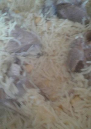 صورة لوصفة قدرة باللحمة 😍😍