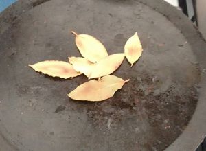 Una foto de Laurel para relajar. ॐ