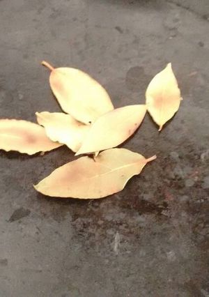 Una foto de Laurel para relajar. ॐ