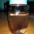 Infused water rimpang (kayu manis, sereh dan jahe) #jsr