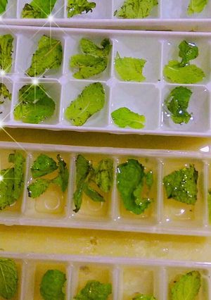 A picture of Mint ice.