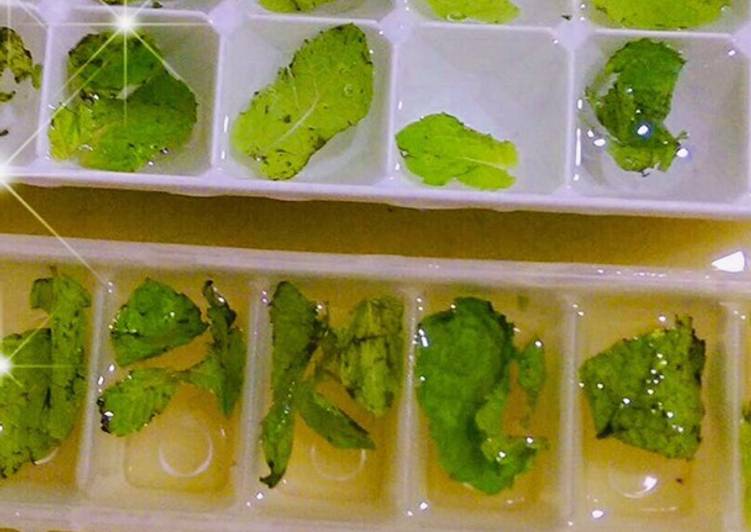 Guide to Make Mint ice