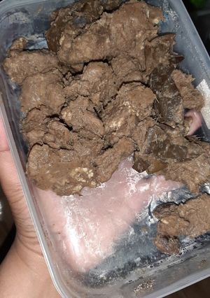 Foto resep Ungkeb daging