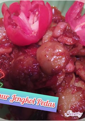 Foto resep Semur Jengkol Pedas