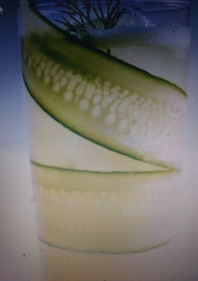 A picture of Cucumber-lemonade mocktail.
