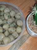 Cilok/pentol favorit isi apa saja