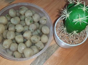 Foto resep Cilok/pentol favorit isi apa saja