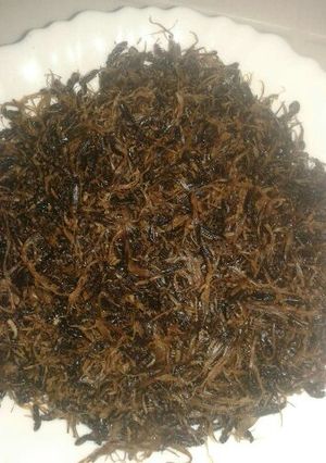 A picture of Roasted Termites.