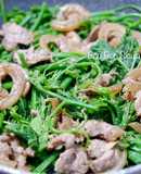 Bò Tơ Xào Đọt Su