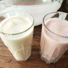 A picture of Home made yoghurt.
