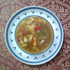 A picture of Chicken and vegetable soup.