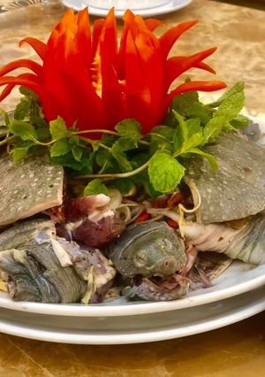 Hình của món Baba hấp vị thuốc bắc.