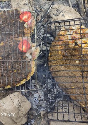 عکسی از دستور ماهی کبابی 😍