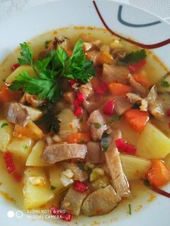 Csipetkés, laskagomba leves recept fotója