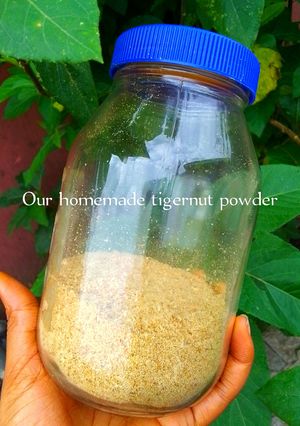 A picture of Homemade tigernut powder.