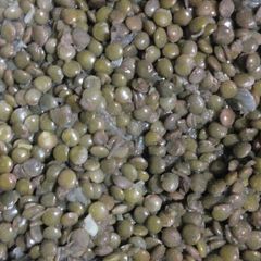 A picture of Pulses stew(green lentils).