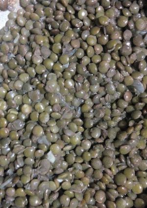 A picture of Pulses stew(green lentils).