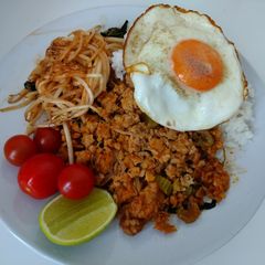 A picture of Basil Chicken with Rice (Gapao Rice) V.
