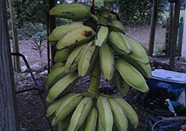 Banana ripening