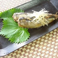 Plump Sardines Simmered with Ginger A picture of Plump Sardines Simmered with Ginger.