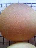 Baking Bread Straight from Liquid Bread Starter - Simple and Basic Rolls