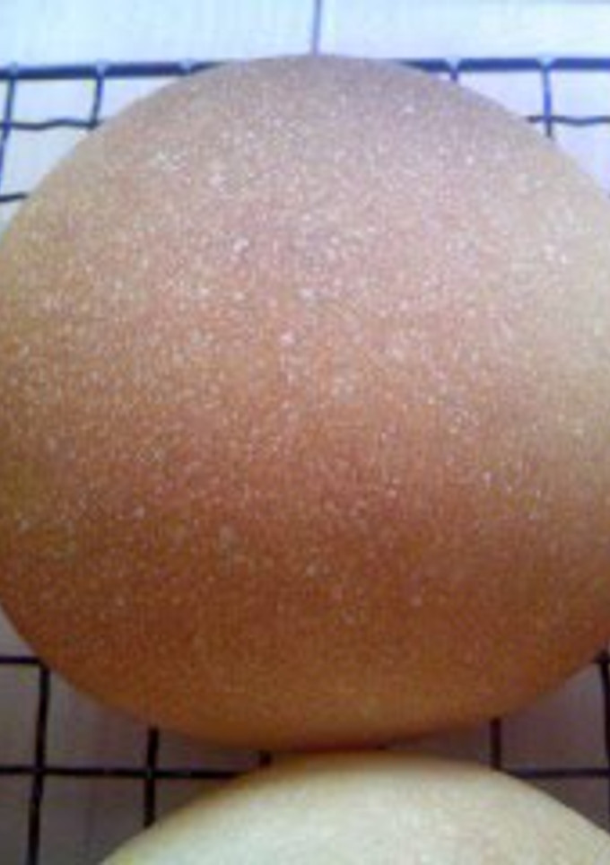 A picture of Baking Bread Straight from Liquid Bread Starter - Simple and Basic Rolls.