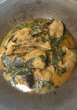 Foto resep Patin asam padeh kemangi