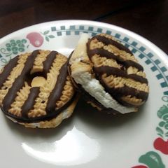 A picture of Fudge Stripe Smores.