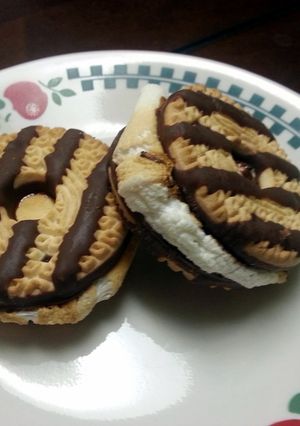 A picture of Fudge Stripe Smores.