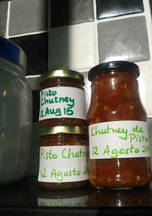 A picture of My pisto chutney.