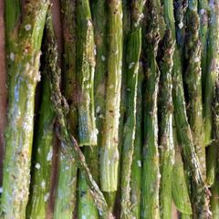A picture of Marinated Asparagus.