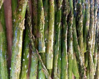 Ultimate Make Recipe Marinated Asparagus Very Delicious