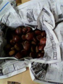 A picture of How to Store Chestnuts So They Become Sweet.
